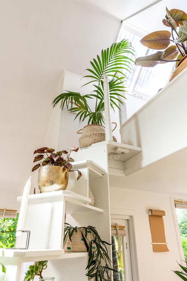 Boho Hill Waiheke Island Villa Palm Beach Exteriör bild