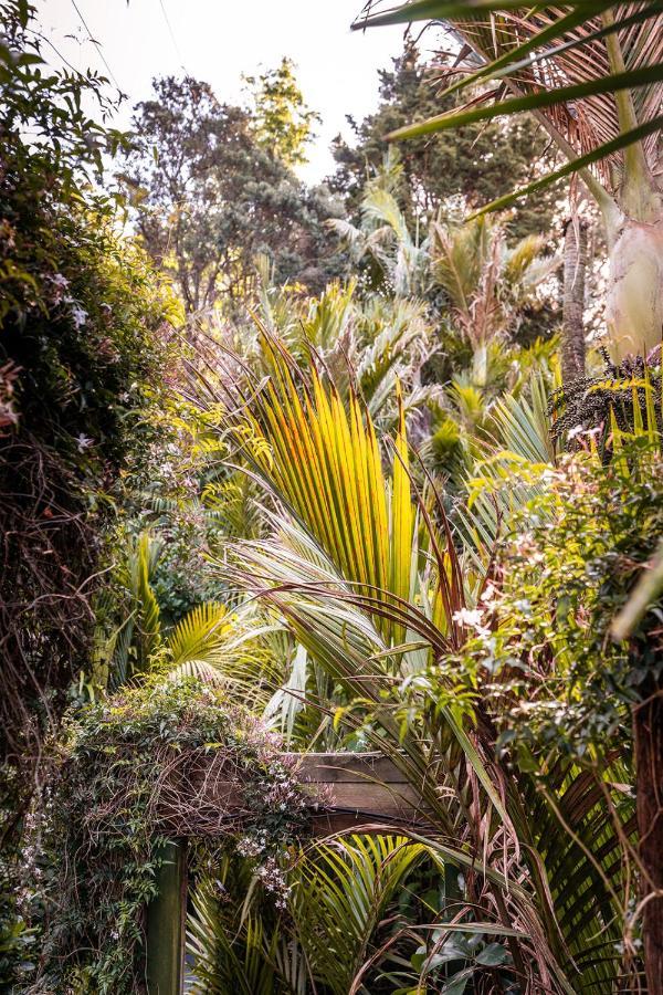 Boho Hill Waiheke Island Villa Palm Beach Exteriör bild