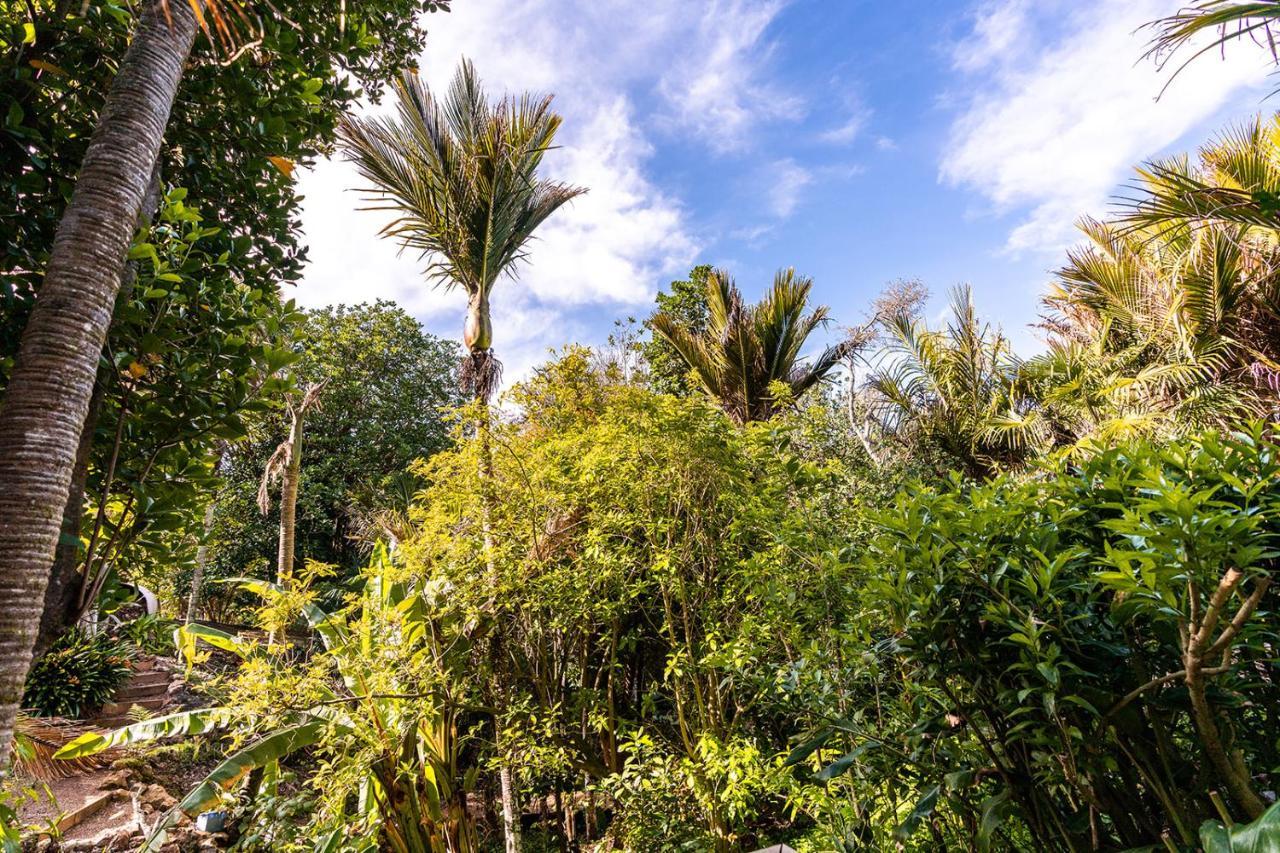 Boho Hill Waiheke Island Villa Palm Beach Exteriör bild
