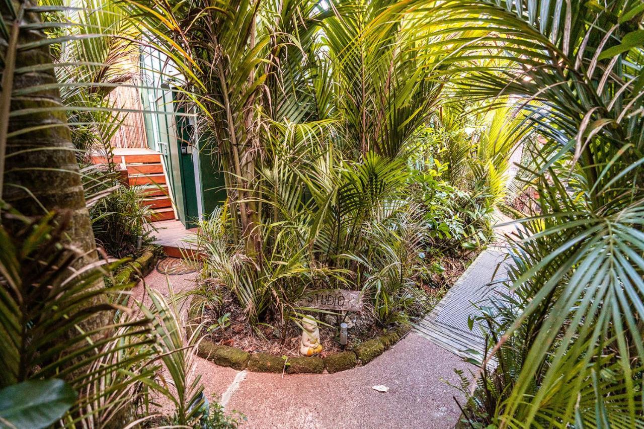 Boho Hill Waiheke Island Villa Palm Beach Exteriör bild